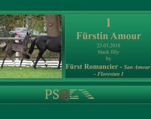 Fürstin Amour (by Fürst Romancier x San Amour x Florestan)
