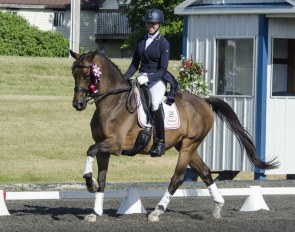 Megan Lane and Zodiac MW at the 2018 CDI Cedar Valley :: Photo © Char Hodgson