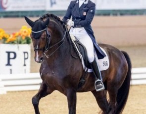 Sabine Schut-Kery and Sanceo at the 2018 CDI-W Del Mar :: Photo © Terri Miller
