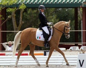 Lisa Bartz and Hemingway B at the 2018 CDI Cascais :: Photo © Rui Pedro Godinho