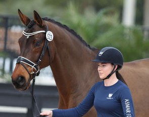 Ava MacCoubrey and Ritter Benno at the 2018 CDI Wellington :: Photo © Astrid Appels