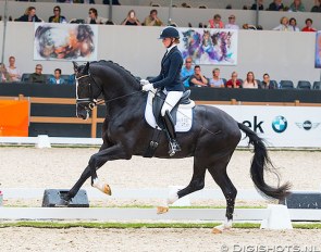 Marieke van der Putten and Jameson RS2 in the 2018 Pavo Cup Semi-Finals :: Photo © Digishots