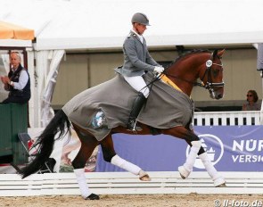 Mike Habermann and Labbadio at the 2018 Hanoverian Young Horse Championships in Verden :: Photo © LL-foto