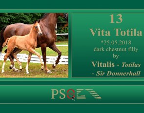 Vita Totila (by Vitalis x Totilas)