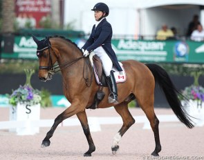 Jill Irving and Degas at the 2017 CDI Wellington :: Photo © Astrid Appels