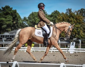 Mr Miagi S, winner of the 4-year old division at the 2018 French Young Pony Championships :: Photo © Les Garennes