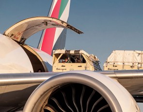 First horses departed from Liège, Belgium to Tryon for the 2018 World Equestrian Games