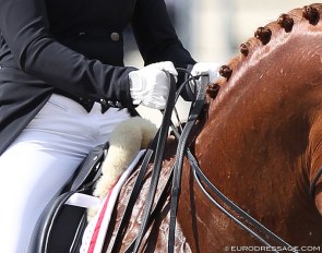 Rider hands :: Photo © Astrid Appels