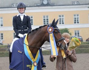Rebecca Mauleon and 5-year old champion Athena at the 2018 Swedish Warmblood Young Horse Championships :: Photo © Swedehorse