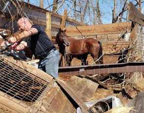 Mare and foal in the stall left over after Hurricane Michael struck Aqua Farms in the Florida panhandle