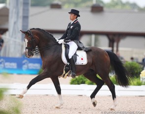 Clearwater on his final competitive diagonal with Shingo Hayashi at the 2018 World Equestrian Games :: Photo © Astrid Appels