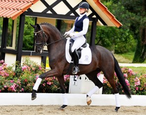 So Fantastic (by Sir Donnerhall x Furst Romancier x Sandro Hit)
