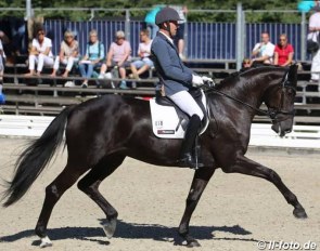Rudolf Widmann and Rose of Bavaria at the 2016 Bundeschampionate :: Photo © LL-foto