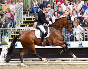 Hannes Lütt and Eternity at the 2018 Bundeschampionate :: Photo © Equitaris