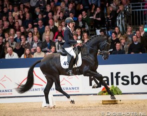 Kim Koolen and Jarville at the 2018 KWPN Stallion Licensing :: Photo © Digishots