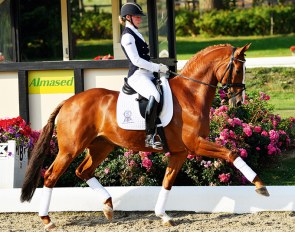 Didou (by Dolany x Munchhausen)