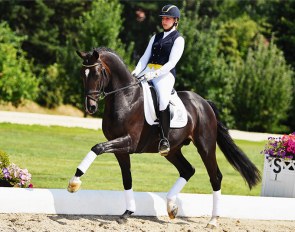 Evergreen (by Everdale x Don Davidoff)