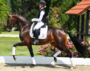 Forza (by Furstenball x Sir Donnerhall x Don Schufro)