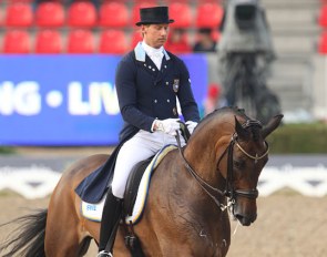 Toy Story at the 2013 European Dressage Championships in Herning :: Photo © Astrid Appels