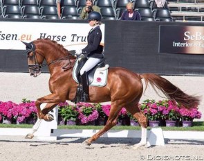 Annemiek van Venrooij and Hotmail V at the 2017 Pavo Cup Semi Finals :: Photo © Digishots