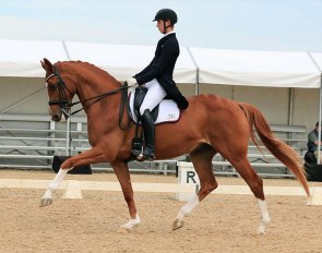 Development B squad rider Riley Alexander on MI Sirtainly Sir :: Photo © Stephen Mowbray
