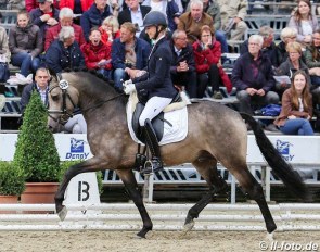 Mareike Mimberg and Golden Grey at the 2018 Bundeschampionate :: Photo © LL-foto