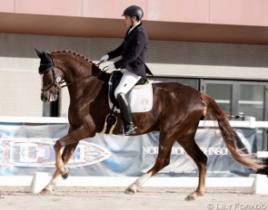 Luis Soto Sánchez and Rio Duero at the 2018 Spanish Young Horse Championships :: Photo © Lily Forado