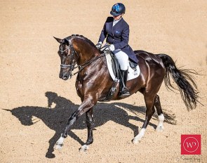 Sue Hearn and Remmington at the 2019 CDI Bawley Point :: Photo © Stephen Mowbray