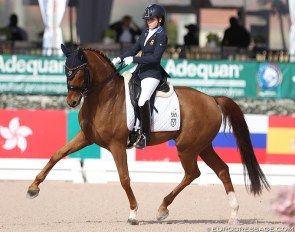 Natalia Bacariza Danguillecourt and Romantico Ymas at the 2019 CDI Wellington :: Photo © Astrid Appels