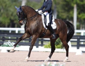 Charlotte Jorst and Ray Dance at the 2017 CDN Wellington :: Photo © Astrid Appels