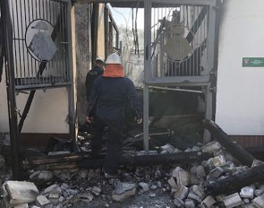 Gestut Erlenhof: the day after