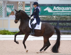 Ashley Holzer and Valentine at the 2019 CDI Wellington :: Photo © Astrid Appels