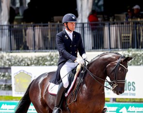 Christoph Koschel and Shakespeare win the  Inaugural Future Stars Performance Series Final at 2019 CDI Wellington :: Photo © Sue Stickle