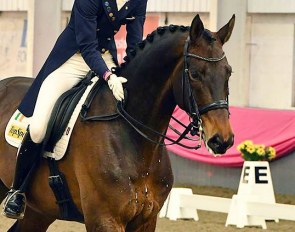 Rachel Dowley and Cadens at the 2019 Irish Winter Dressage Championships :: Photo © Sagittarian Photography