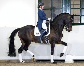 Charming Lady at the 2019 Excellent Dressage Sales