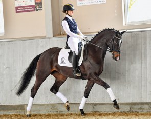 Georgette (by Gorbatschow - Diamond Hit - Campari M)
