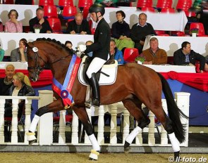 Fynch Hatton, price highlight of the 2019 Oldenburg Elite Auction in Vechta :: Photo © LL-foto