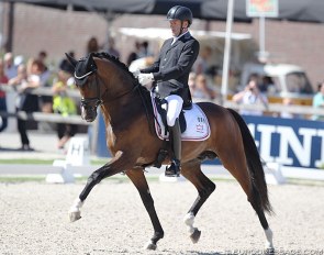 Jan M. Christensen and Hesselhoj Donkey Boy at the 2018 World Young Horse Championships :: Photo © Astrid Appels