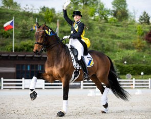 Inna Logutenkova on Fleraro at the 2019 CDI Kiev :: Photo © Lilya Nedolya