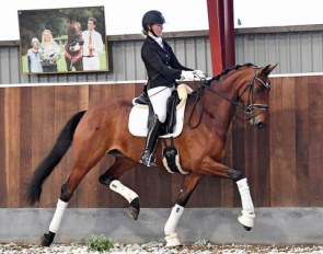 Aagaardens Darbie Zalene