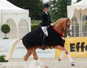 Danica Duen and Herzkönig win the 2017 Westfalian Young Pony Championships in the 4-year old division :: Photo © LL-foto