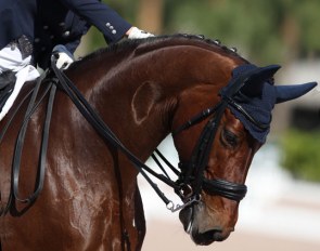 Diane Creech and Diana C at the 2017 CDN Wellington :: Photo © Astrid Appels