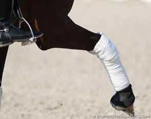 Photo © Astrid Appels