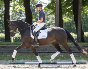 Dolce Vita (° 2015, by Don Nobless x Rubin Royal)
