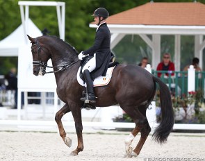Simon Missiaen on Charlie at the 2019 CDIO Compiegne :: Photo © Astrid Appels