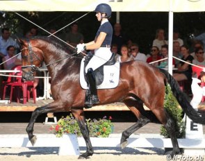 Ana Teresa Pires and About You at the 2019 Westfalian Young Horse Championships :: Photo © LL-foto