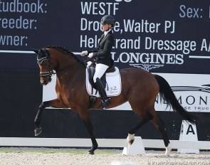 Eva Möller and Espe at the 2019 World Young Horse Championships :: Photo © Astrid Appels