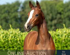 2nd Hof Thelker Online Auction