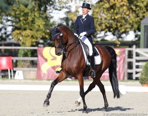 French Group 1 rider Stephanie Brieussel and Amorak at the 2019 CDI Waregem :: Photo © Astrid Appels