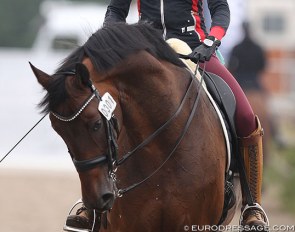 Simone Pearce and Scolari at the 2019 CDI Ermelo :: Photo © Astrid Appels